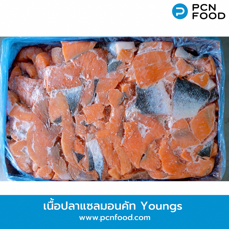 เนื้อปลาแซลมอนคัท Youngs ตัดแต่งคละส่วนเนื้อลําตัว คอ หางแบบหั่นชิ้น