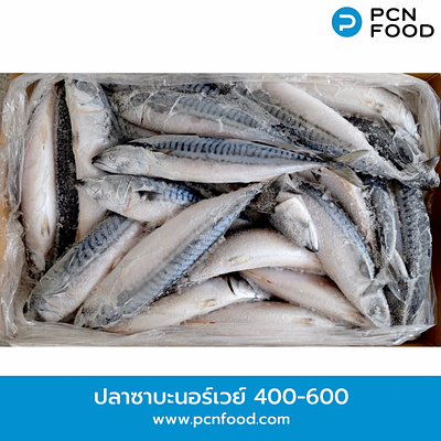 หมวด ซาบะแช่แข็ง — ปลาซาบะนอร์เวย์ขนาด 400-600 g.