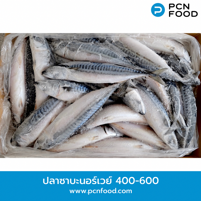 ปลาซาบะนอร์เวย์ขนาด 400-600 g. ปลาซาบะ หรือ ปลาแม็คเคอเรลนอร์เวย์ไซส์ 400-600g. (เต็มตัว) 